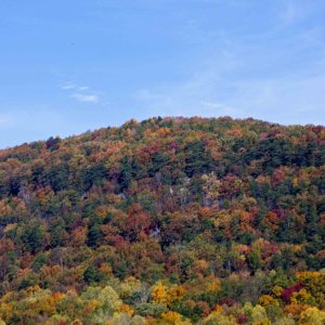 Media 'River Gorge Tapestry' in album 'Tennessee River Gorge'