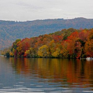 Fall Glass