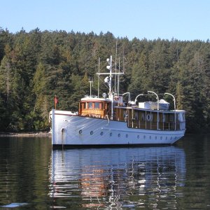DeerLeap 1