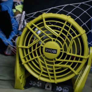 Fan is an essential on Powell