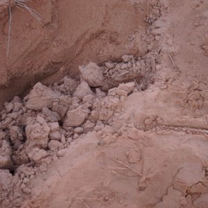 Mushroom anchor buried