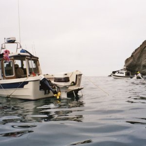 Media 'with bodega jim and his 1985 classic 22 angler, backside of santa cruz island  in march of 2003' in album 'Madrona hand drawn by Hannah'