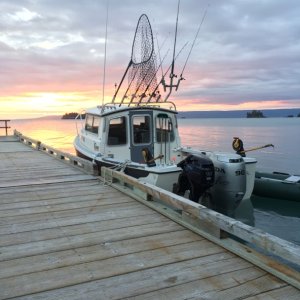 Media 'Kachemak Bay, AK (2018)' in album 'Kachemak Bay, AK (2018)'