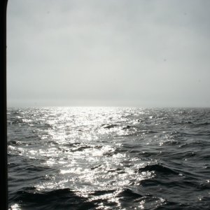 Full steam ahead, as fog starts to lift east of Protection Island