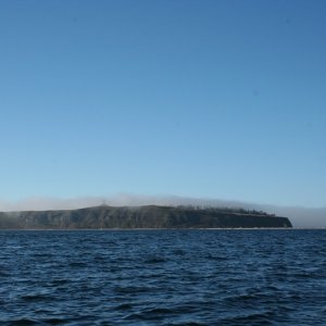 Protection Island in the clear