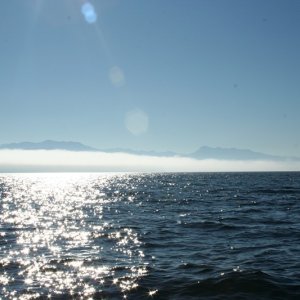 Media 'Looking west from Protection Island towards Sequim Bay' in album 'Narrows Bridge in the Fog'