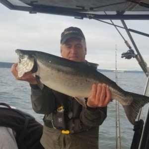 Dwight (Chromer) 2018 Edmonds Coho Derby 4th place winner -  12 lbs undressed