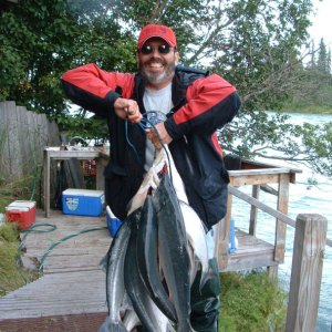 Nice mess of Kenai Reds