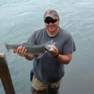 Media 'Bill with a nice Dolly' in album 'Nice catch of Kenai Reds, July 2011'