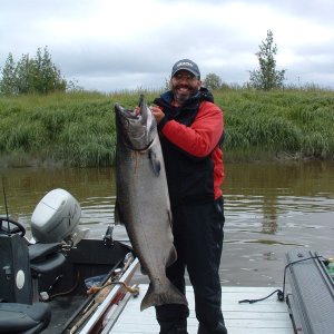 51 lb. Kenai River King