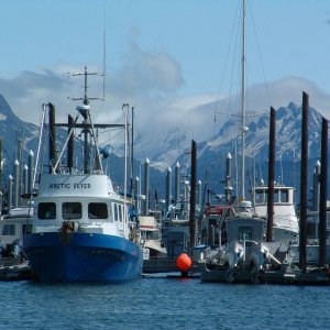 Homer Alaska