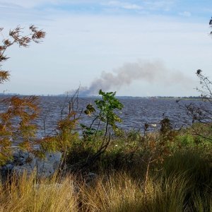 Something is always burning around the lake...always.