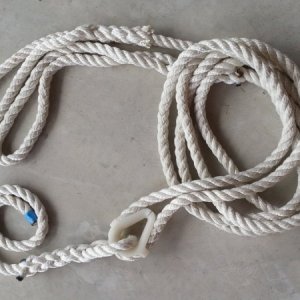Media 'Bridle with "Y" connection and tail' in album 'Bridle with "Y" connection and tail'