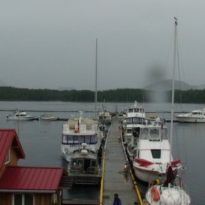 Shearwater Dock
