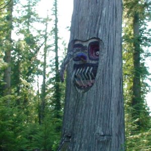 Mosquito Carving (Pruth Bay)
