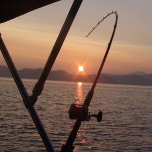 Media 'Nice morning fishing off the Serpent Group' in album 'Tsawwassen Ferry Terminal (0 Dark 30)'