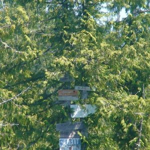 Media 'Almost to the top' in album 'Tsawwassen Ferry Terminal (0 Dark 30)'