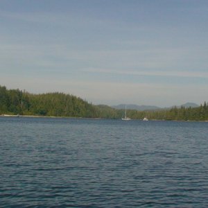 Blunden Harbour