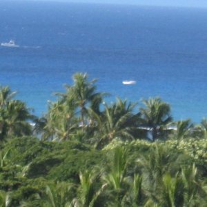 Media 'breezy day  hi surf trades are here' in album 'breezy day  hi surf trades are here'