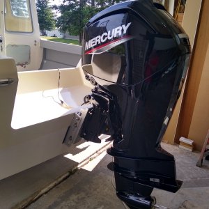 My boat is moored 6 month or more of the year. I wanted the outboard completely out of the water when docked to eliminate corrosion / Sea Growth. The motor is mounted with a 4? setback manual jackplate.