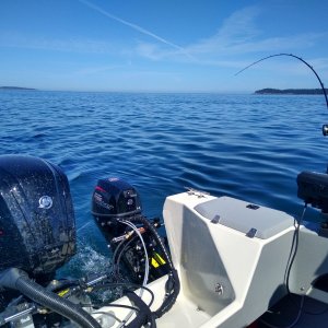 Remote mounted Mercury 9.9 in action