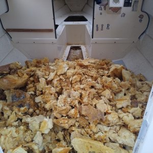 Removed all the foam from the Cuddy. There was some moisture at the bottom. Will be adding hatches then filling voids with pour in foam