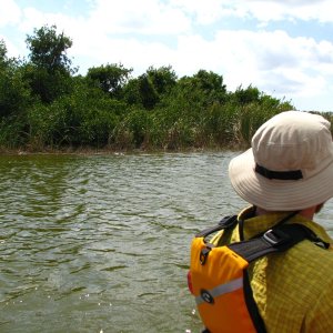 Canoeing Everglades National Park