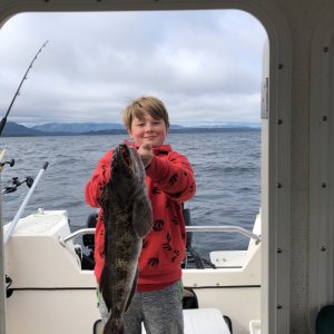 Media 'kids were big on lingcod fishing this year' in album 'Cabin 8'