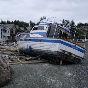 Washed up boat in Elger Bay, Camano Island after winter storms