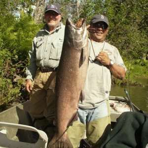 Media 'Here's the big fish of the trip, a 35 lb King.  The biggest fish I've ever caught.  What a great battle and a great day!' in album 'Advertisement in Northwest Sportsman Magazine, January 2012.  The gentleman in the middle was my wife's cousin Bill.  A great fisherman and great adventurer.  RIP Bill.
If you didn't notice, that's me in the middle of the picture, the 3rd person on the right of the three people together.'