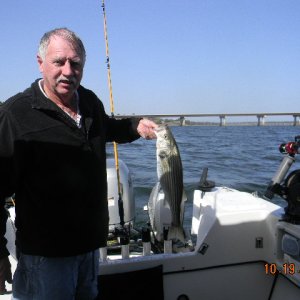 Media 'Caught small Striper' in album 'Camping & Fishing with Munchkin'