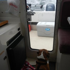 Are we there yet?