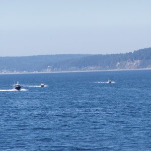 Bambina and Little Buddy escorting the new R-Matey, Camano Island in background