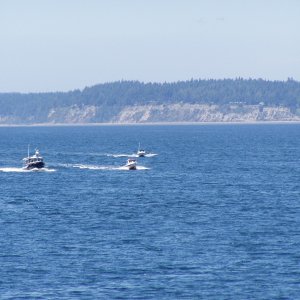 Media 'More flotilla escort for R-Matey' in album 'Brock aka Catman (Bambina)
Barry aka colobear 
(C-Cakes)'