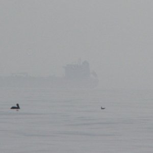 fog in the Gulf