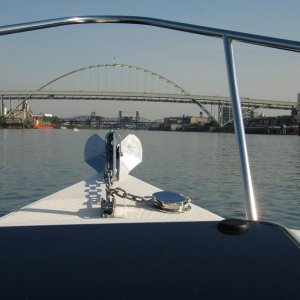 Media '' in album 'Honu Goes to Bridge City'