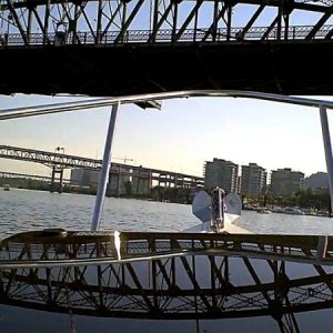 Media '' in album 'Honu Goes to Bridge City'