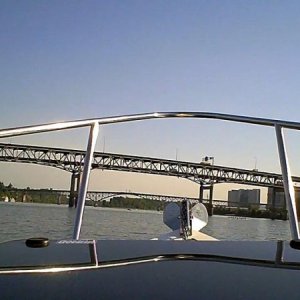 Media '' in album 'Honu Goes to Bridge City'