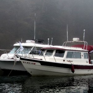 Nama Bickie and Daydream in Early Morning Fog at Tombolo Cove 7-19-11