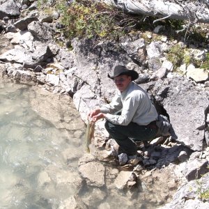 Red Deer river cutthroat, BNP