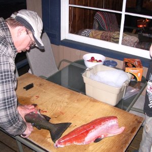 Media 'Kootenay rainbow fillets with Cameron' in album 'minewanka lakers'