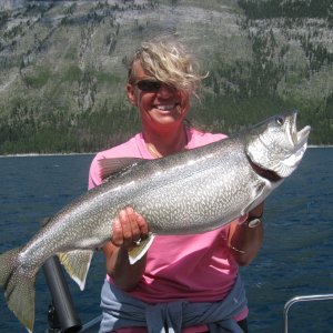 Media 'Janice's 12.5lb laker' in album 'minewanka lakers'