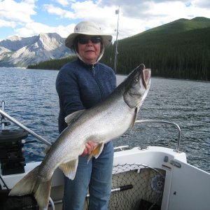 added a 15lb'er