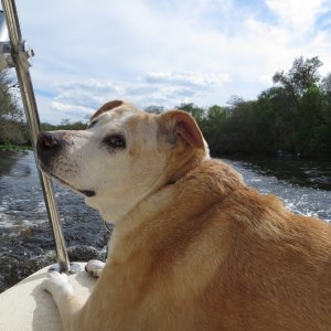Lily\'s favorite spot on the boat.