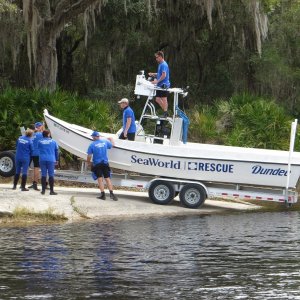 Must be an injured manatee somewhere.