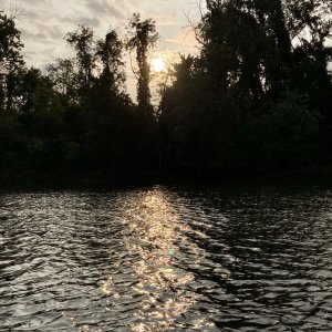 IMG 0394