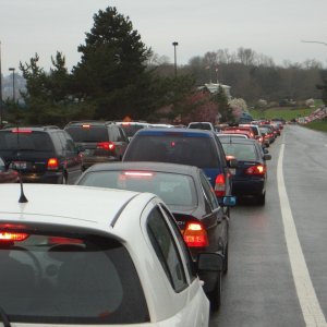 (catdogcat) Long line at the border.  Had to wait about two hours.