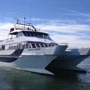 You should see my OTHER cat Napoleon!  Ha ha!  90', 149 passenger, 2820 HP, 30 knots