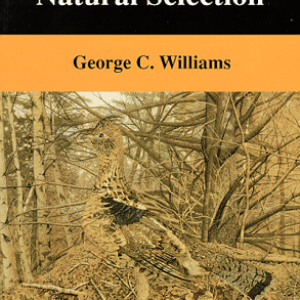 Media '' in album 'George C. Williams
Our boat is named after this wonderful man, Rachel's Great Uncle George. A few of his book titles are listed here for anyone with an interest in evolution and Darwinian medicine.  

(Obituary from Richard Dawkins)

It has become a clich? that Charles Darwin would not have succeeded as a scientist today. He would not have won big research grants and did not have the mathematics to be a ?theorist? by today?s conventions. But the clich? is wrong?for George Williams succeeded. Williams published books, rather than articles in ?high impact journals?; he never won huge grants, did not head a big research group, and seldom used mathematics, yet he became one of the most respected figures in late?20th-century evolutionary biology. On 8 September, George Williams died at the age of 84.

Williams, like Darwin, was a world-class thinker. Like Darwin, he drew upon deep wells of knowledge; like Darwin, he wielded words and concepts with the precision that comes from clear thought; and like Darwin, he was correct far more often than a mathematical theorist might think he had any right to be. Also like Darwin, he was gentle and self-effacing, never aggressive or overassertive. He was a tall, rangy, patrician figure whose quiet, contemplative wisdom, as well as his dignified appearance, reminded many of Abraham Lincoln (Darwin?s exact contemporary to the day).

Williams received his Ph.D. in 1955 at the University of California, Los Angeles, and his academic path led him to Stony Brook University in 1960, where he remained for the rest of his career. He first attracted attention in 1957 with his evolutionary theory of senescence, a matured version of the idea sketched by Peter Medawar in 1952. Lethal genes that are expressed late in life outcompete those expressed early. Mutations that have good effects often have other effects too (pleiotropy), many of which will be bad. Natural selection will modify mutational effects such that the bad ones are postponed, and the good ones accelerated. Senescence follows, with the sort of clear logic that typified Williams?s thinking.

His 1966 book Adaptation and Natural Selection had a spring-cleaning effect upon evolutionary theory. Neo-Darwinism had fallen into lazy habits since the glory days of Ronald Fisher and the Modern Synthesis. The loose, intellectually shoddy idea of ?group selection? was rife, and Williams dispatched it. ?Adaptations? were scattered throughout the literature with no understanding that adaptation is, in Williams?s memorably exacting phrase, ?an onerous concept.? It can be studied with scientific rigor, but this first requires a clear answer to the question, ?Precisely what is naturally selected?? Williams?s answer is compelling:

?The natural selection of phenotypes cannot in itself produce cumulative change, because phenotypes are extremely temporary manifestations? Socrates?may have been very successful in the evolutionary sense of leaving numerous offspring. His phenotype, nevertheless, was utterly destroyed by the hemlock and has never since been duplicated?The same argument also holds for genotypes. With Socrates? death, not only did his phenotype disappear but also his genotype?because meiosis and recombination destroy genotypes as surely as death?It is only the meiotically dissociated fragments of the genotype that are transmitted in sexual reproduction, and these fragments are further fragmented by meiosis in the next generation. If there is an ultimate indivisible fragment it is, by definition, ?the gene? that is treated in the abstract discussions of population genetics.?

Quite so.

Williams efficiently disposed of ?group selection,? which never recovered (except as a muddled version of kin selection). But in Natural Selection: Domains, Levels and Changes (1992), where he gathered many threads of thought, he developed the important and superficially similar idea (foreshadowed in Adaptation and Natural Selection) of ?clade selection? to explain, not ?altruism? but macroevolutionary patterns of diversity and?as I would put it??the evolution of evolvability.?

One of Williams?s gifts was to show that what might seem obvious was not always so. He wrote Sex and Evolution (1975) ?from a conviction that the prevalence of sexual reproduction in higher plants and animals is inconsistent with current evolutionary theory? there is a kind of crisis at hand in evolutionary biology?? Assuming, as is common in animals, that the father contributes less than the mother to the economic costs of rearing a child, a mutant female producing only asexual daughters would seem to be a more efficient gene reproducing machine than her sexual rival, who pours up to half of her resources into economically unproductive sons. Sex and Evolution was the first book to wrestle with this paradoxical ?twofold cost of sex??constructively but not entirely successfully. After working through a number of models, including the ?aphid-rotifer model,? the ?strawberry-coral model,? and the ?elm-oyster model,? Williams ended downbeat:

?I am sure that many readers have already concluded that I really do not understand the role of sex in either organic or biotic evolution. At least I can claim?the consolation of abundant company.? Abundant and distinguished company, for the Williams ?crisis at hand? was to provoke later books by, among others, John Maynard Smith and Graham Bell, and absorbed the great W. D. Hamilton (a somewhat similar character to Williams) for most of the latter part of his career.

Williams himself, in the latter part of his career, teamed up with the physician Randolph Nesse to found The New Science of Darwinian Medicine (1995). That is the subtitle of their excellent book, whose main title unforgivably mutated as it crossed the Atlantic (publishers do this lamentably often, and they did it with Williams?s only book for laymen). Darwinian medicine is too important for me to expound it briefly but, as I recommended on the cover, ?Buy two copies and give one to your doctor.?

George Williams takes his place among the Darwinian immortals: like Darwin himself, a great scientist and a wholly admirable man.'