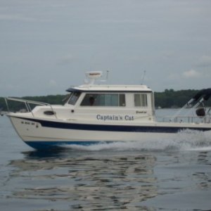 Media 'Captain's Cat at Speed in the Potomac' in album 'Captain's Cat at Speed in the Potomac'
